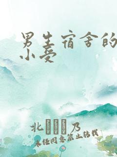 男生宿舍的公共小受