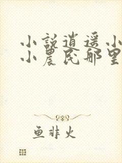 小说逍遥小农夫小农民那里可以看