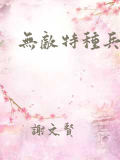 无敌特种兵小说
