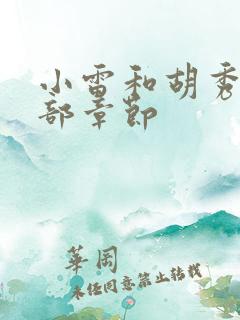 小雷和胡秀英全部章节