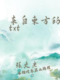 来自东方的骑士txt
