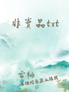 非卖品txt