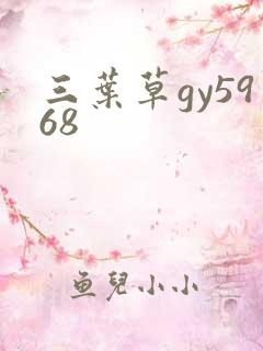 三叶草gy5968