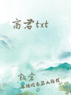 商君txt