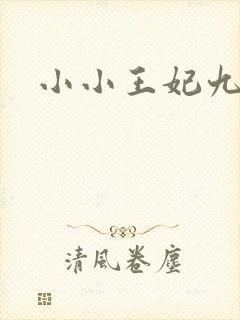 小小王妃九岁半