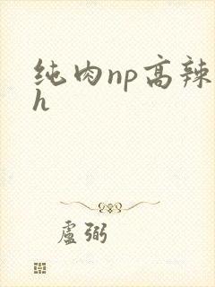 纯肉np高辣文h
