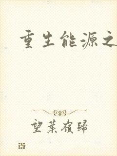 重生能源之王