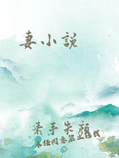 妻小说