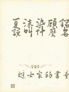 夏沫染顾铭修小说叫什么名字