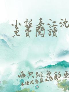 小说秦江沈如霜免费阅读