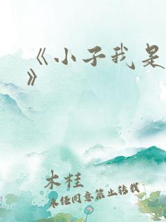 《小子我是你姐》