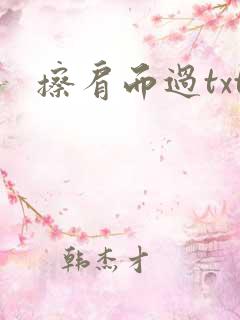 擦肩而过txt