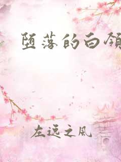 堕落的白领