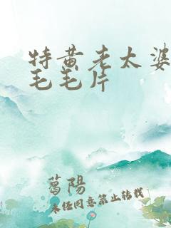 特黄老太婆aa毛毛片