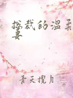 总裁的温柔乖乖妻