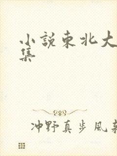 小说东北大炕全集