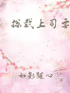 总裁上司要偷心