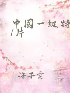 中国一级特黄大/片