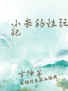 小米的性玩具日记