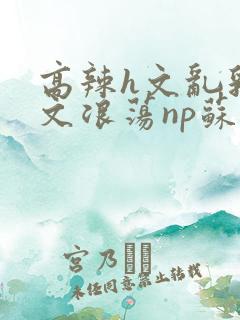 高辣h文乱乳h文浪荡np苏夏