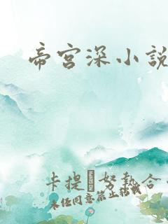 帝宫深小说