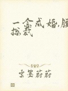 一念成婚,腹黑总裁