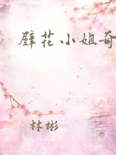 壁花小姐奇遇记