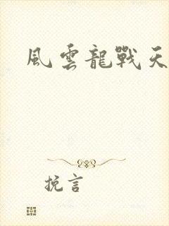 风云龙战天下