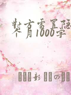 对方处置隐私一个月1000字
