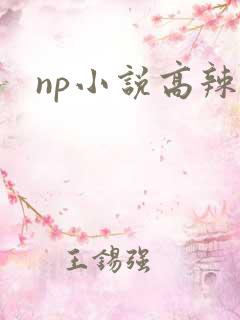 np小说高辣h