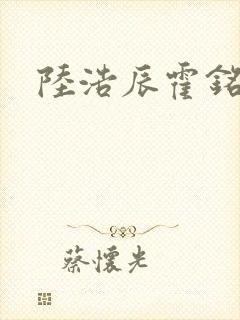 陆浩辰霍铭湘