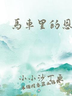 马车里的恩爱