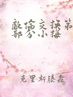 敌伦交换第11部分小梅