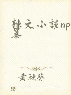 辣文小说np粗暴