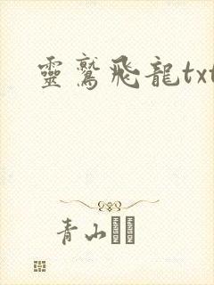灵鹫飞龙txt