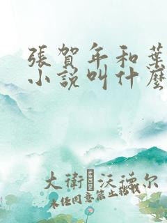 张贺年和叶繁姿小说叫什么名字