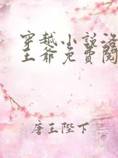 穿越小说洛蓝钰王爷免费阅读