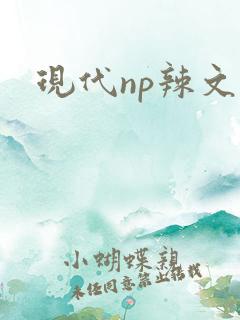现代np辣文