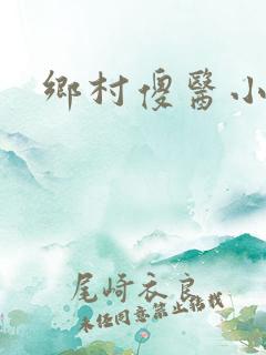 乡村傻医小说