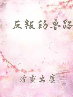 反叛的鲁路什