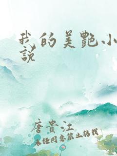 我的美艳小姨小说