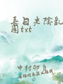 长日光阴乱作一团txt