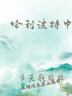 哈利波特中文版