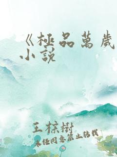 《极品万岁爷》小说
