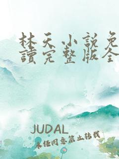 林天小说免费阅读完整版全文