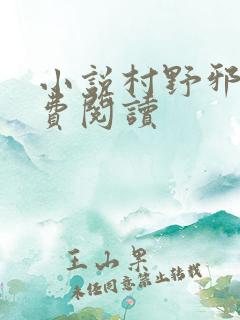 小说村野邪医免费阅读