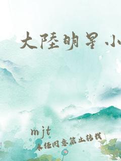 大陆明星小说