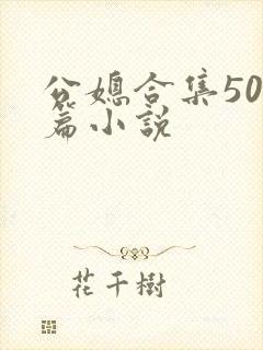 公媳合集500篇小说