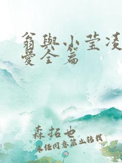 翁与小莹凌晨欢爱全篇
