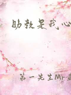 助教是我心尖宠